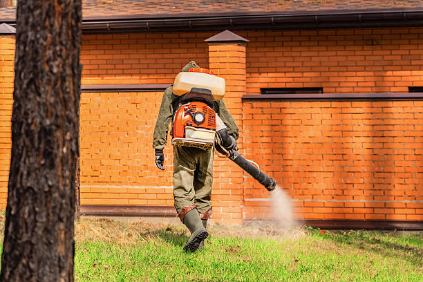 Trusted Mosquito Control service in Golden Grove, SC - Nex Pest Control